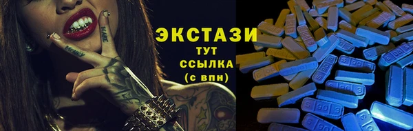 молекула духа Вяземский
