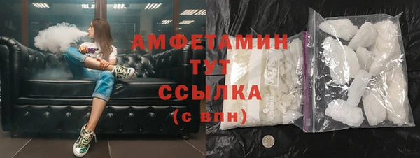 молекула духа Вяземский