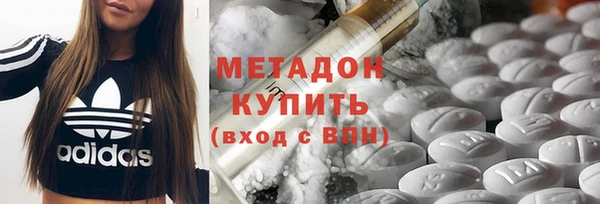 молекула духа Вяземский