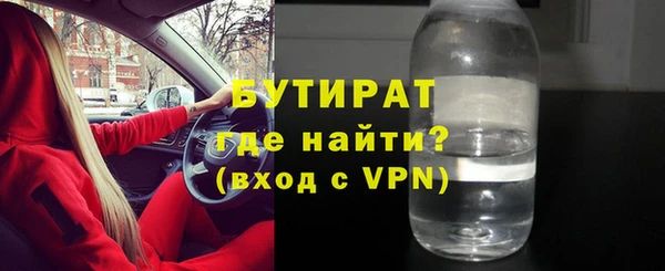 молекула духа Вяземский