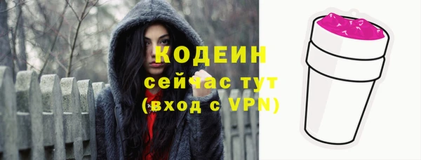 мдпв Горнозаводск