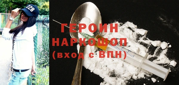 молекула духа Вяземский