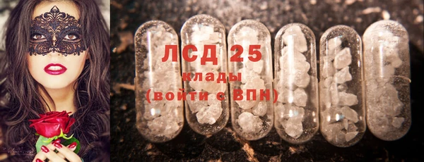 гашик Волосово