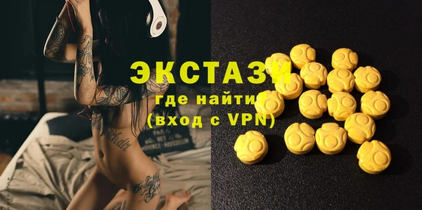 молекула духа Вяземский