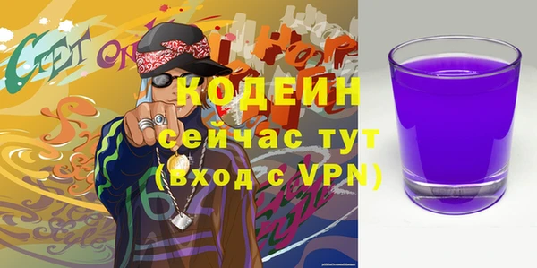 молекула духа Вяземский