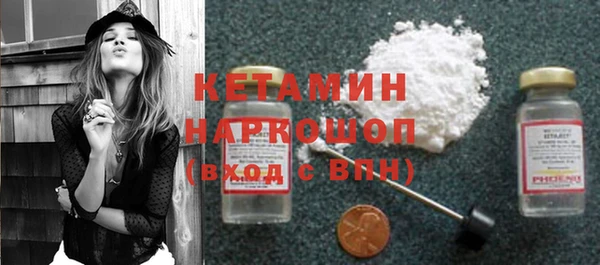 молекула духа Вяземский