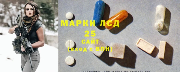 мдпв Горнозаводск