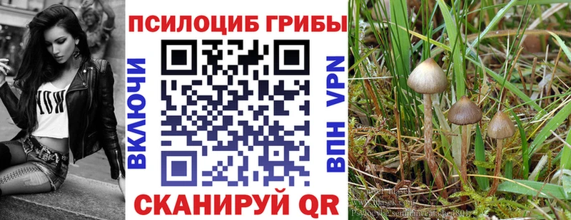 Галлюциногенные грибы Magic Shrooms  Заречный 